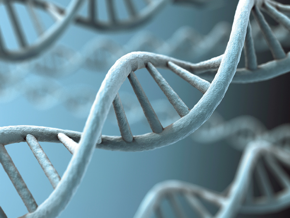 dna DNA image