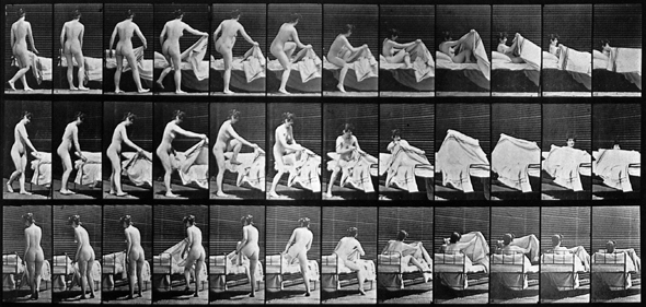 muybridge photo by Eadweard Muybridge