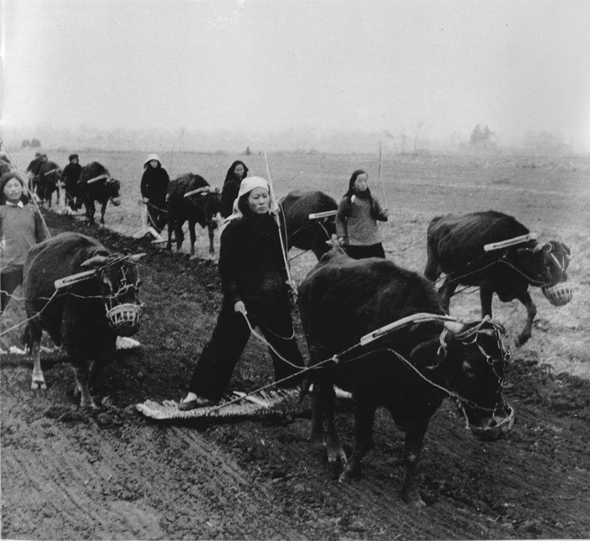 Shaanxi women learn to plow