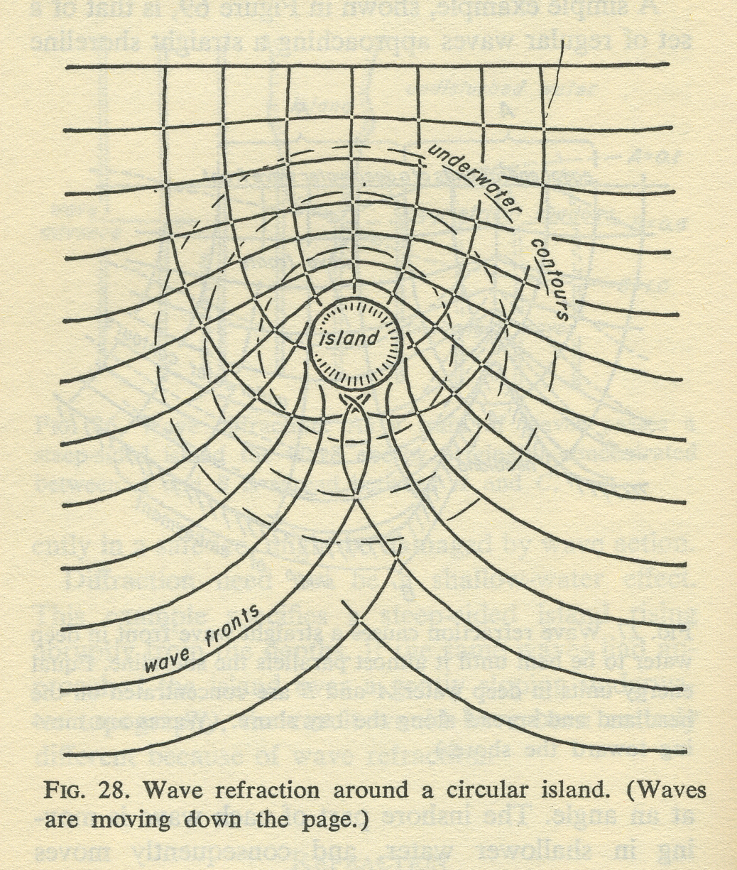 Tami Navarro lecture image