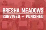 Bresha Meadows - Survived and Punished