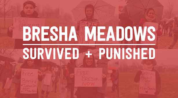 Free Bresha mailchimp