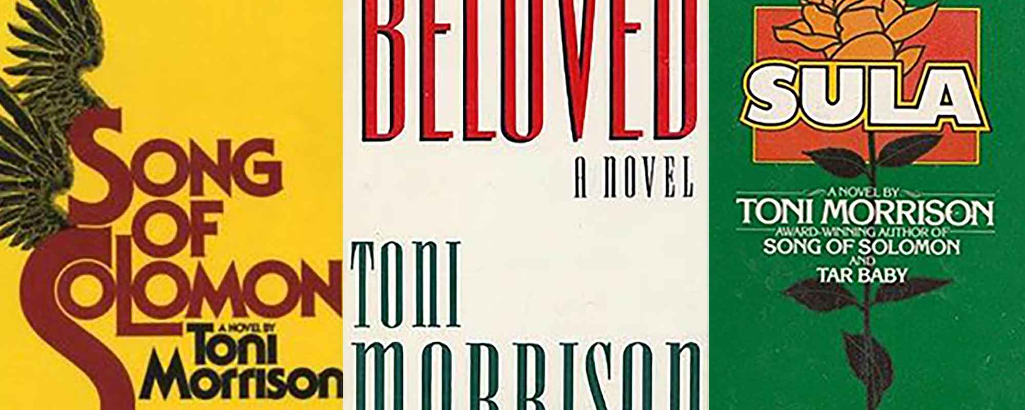 What we are reading